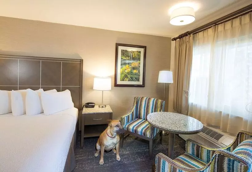 בית מלון כפרי Best Western Plus Hilltop Inn