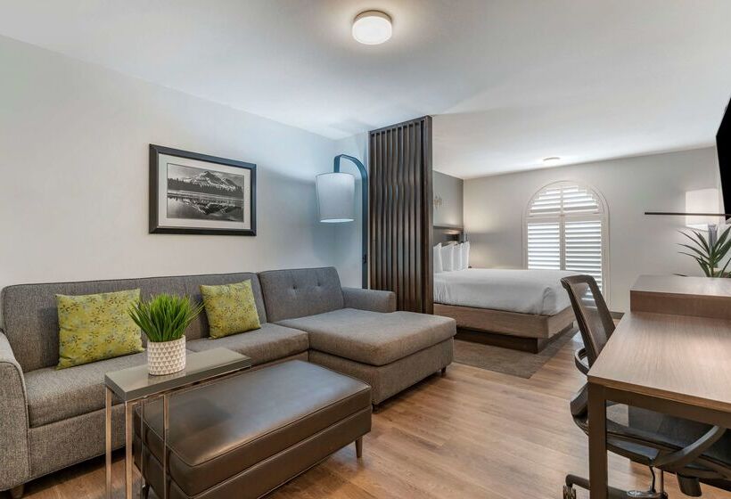 هتل Best Western Plus Hilltop Inn