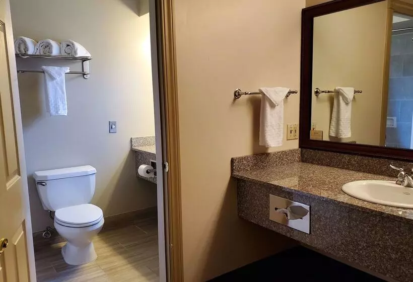 酒店 Best Western Plus Humboldt House Inn