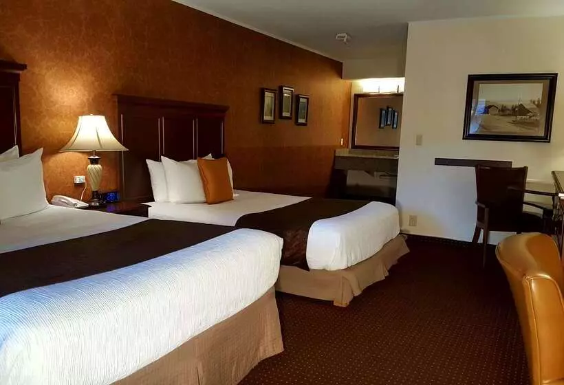 酒店 Best Western Plus Humboldt House Inn