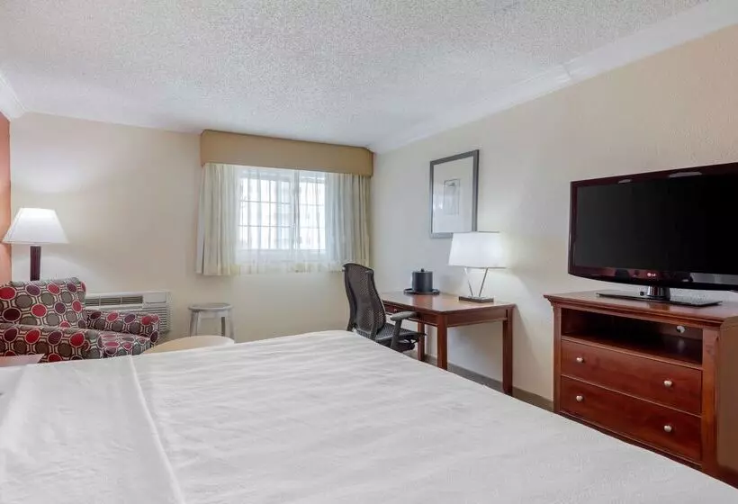 فندق Best Western Plus Loveland Inn