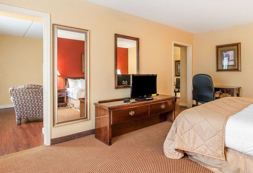 בית מלון כפרי Clarion Inn & Suites University Center