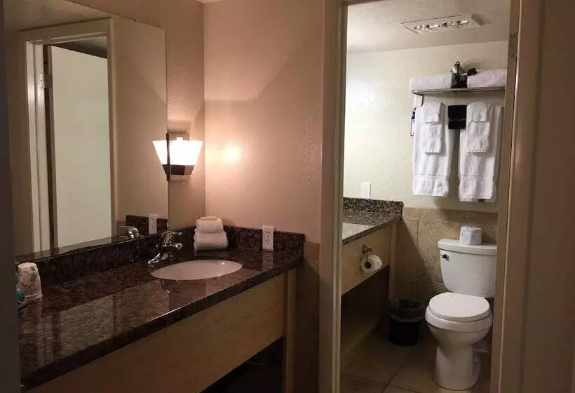 בית מלון כפרי Dinosaur Inn & Suites