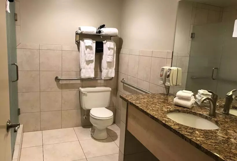 בית מלון כפרי Dinosaur Inn & Suites