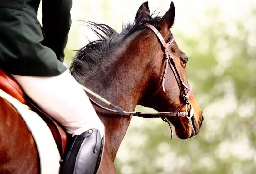 Magnuson Hotel Fowlerville