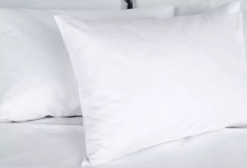 Magnuson Hotel Fowlerville