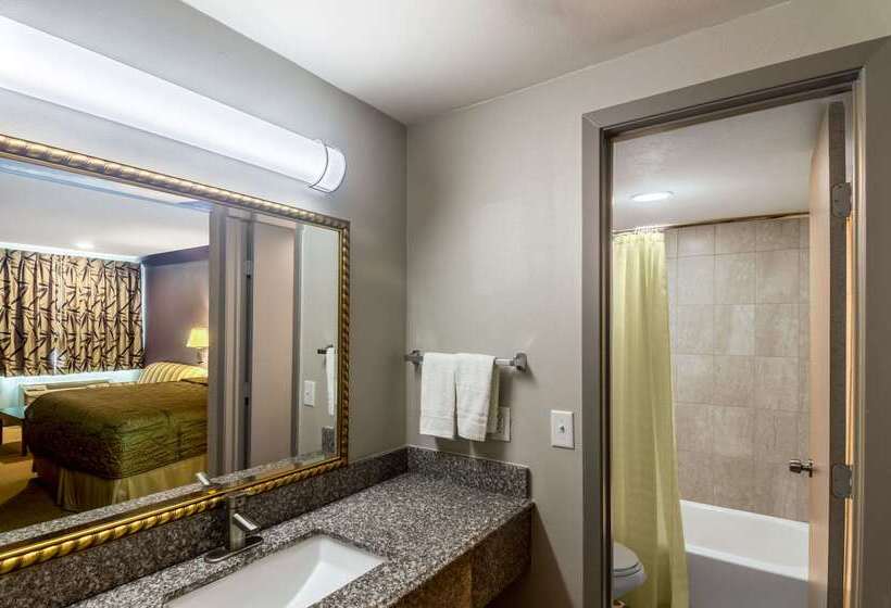 فندق Rodeway Inn