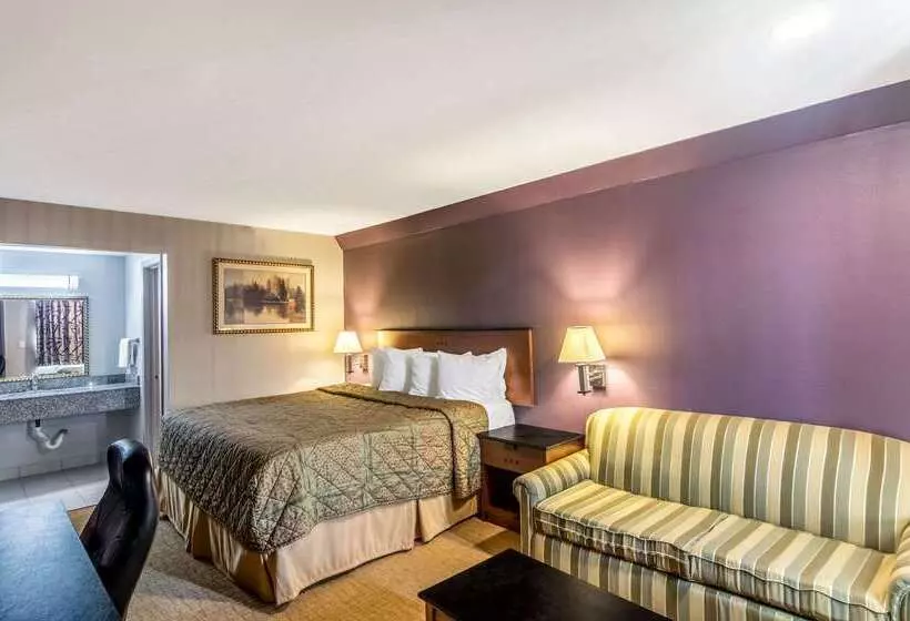 ホテル Rodeway Inn