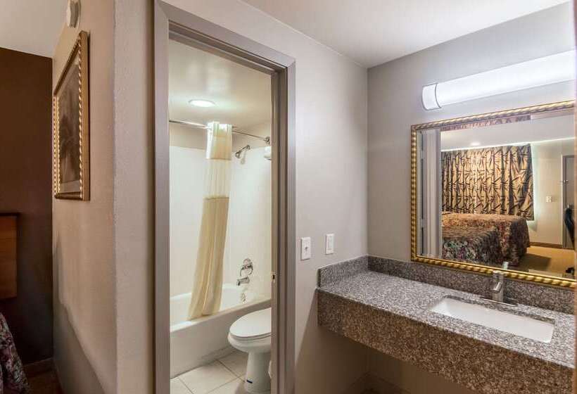 فندق Rodeway Inn