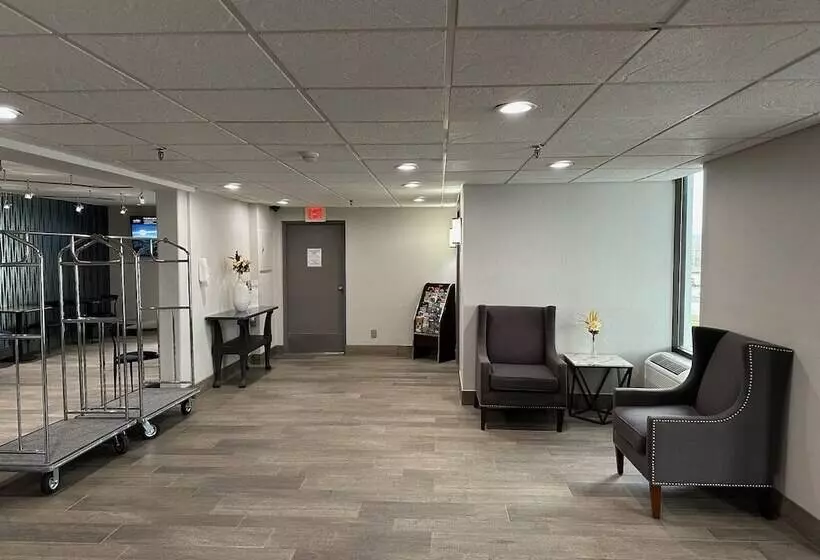 فندق Comfort Inn & Suites