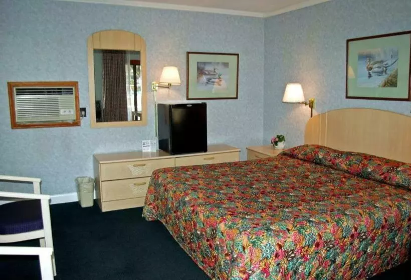 فندق The Carolinian Inn