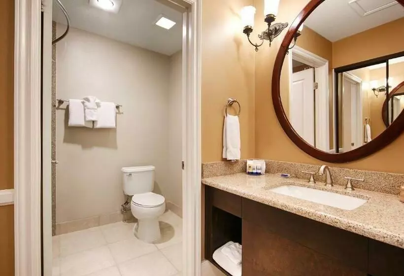 酒店 Best Western Plus San Pedro & Suites