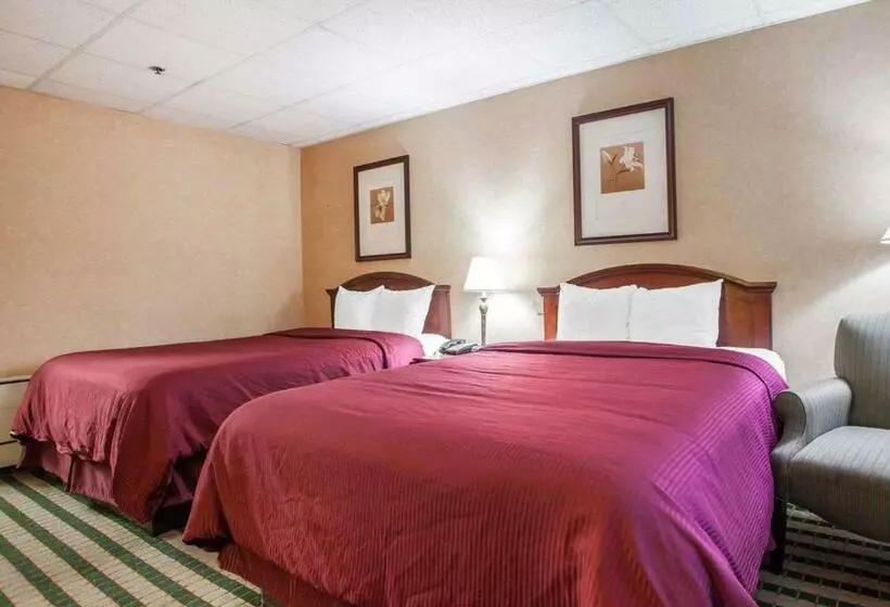 Szálloda Clarion Palmer Inn