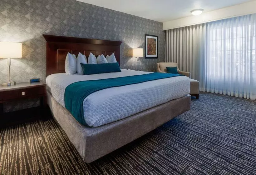 酒店 Best Western Plus Carriage Inn