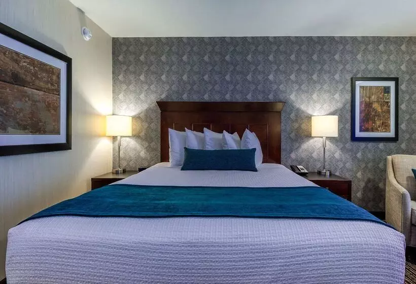 בית מלון כפרי Best Western Plus Carriage Inn