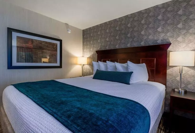 酒店 Best Western Plus Carriage Inn