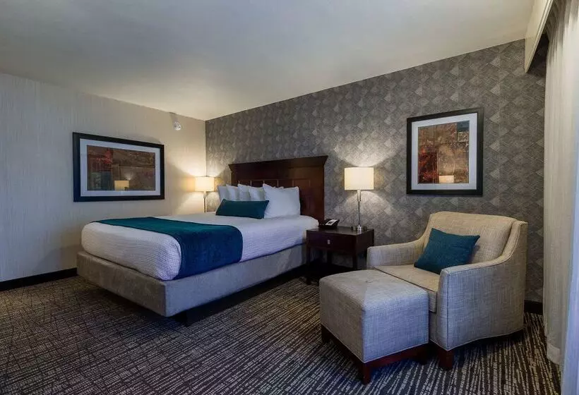 酒店 Best Western Plus Carriage Inn