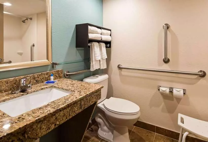 호텔 Holiday Inn & Suites Columbia Ne   Ft Jackson Area By Ihg