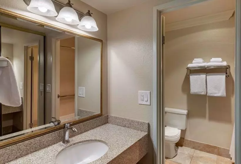 酒店 Best Western Plus Royal Oak