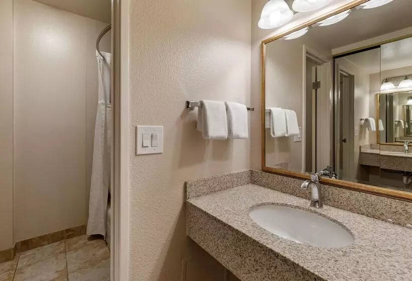 酒店 Best Western Plus Royal Oak