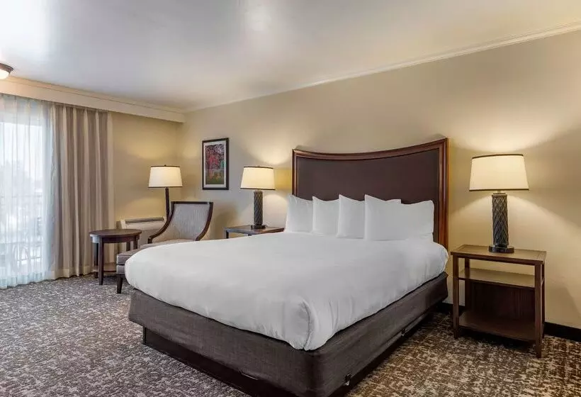 酒店 Best Western Plus Royal Oak