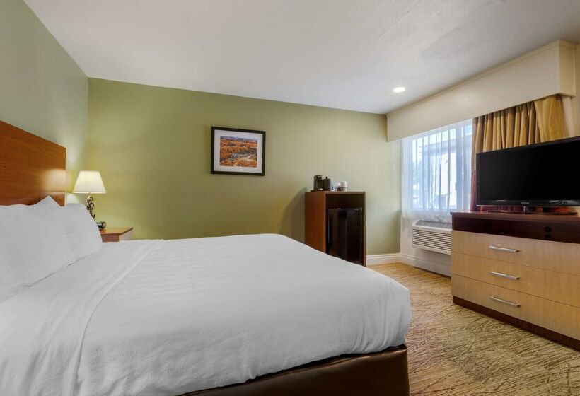 هتل Best Western Red Hills