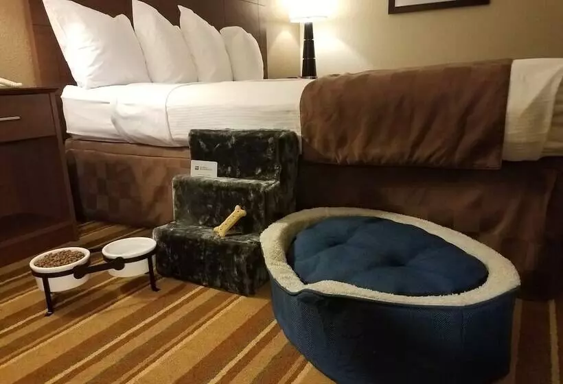 Отель Rock Island Inn & Suites Marshalltown