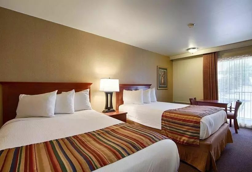 فندق Best Western Sherwood Inn