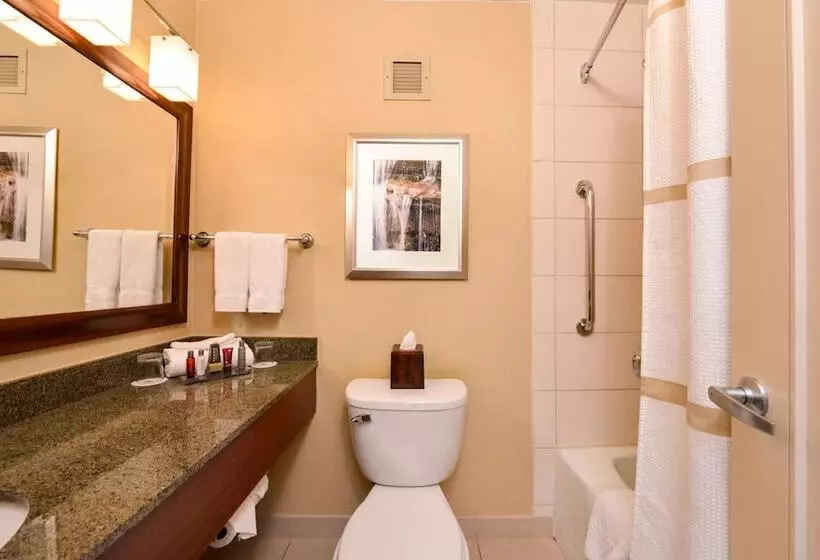 Hotel Buffalo Marriott Niagara