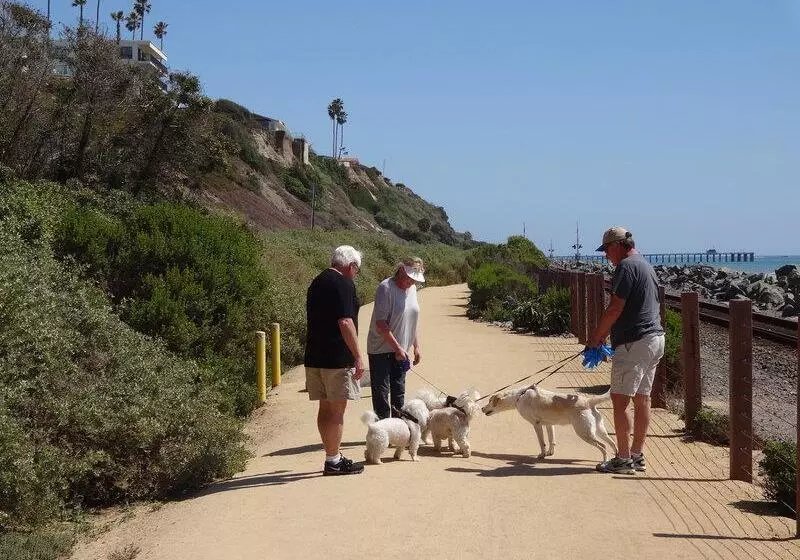 ホテル Casablanca Inn