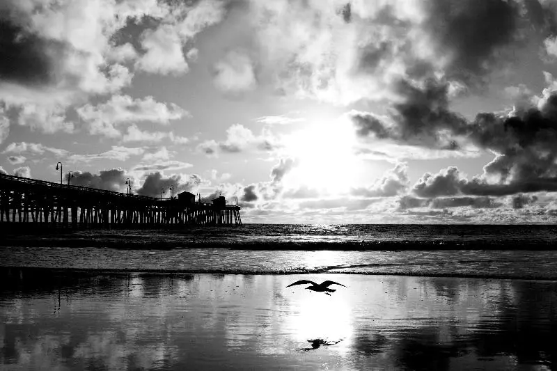 ホテル Casablanca Inn