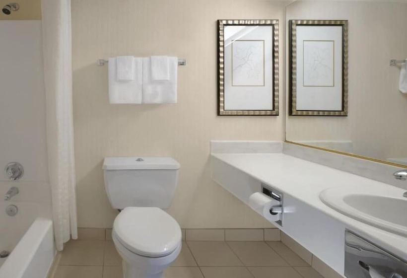 Circus Circus Hotel, Casino & Theme Park