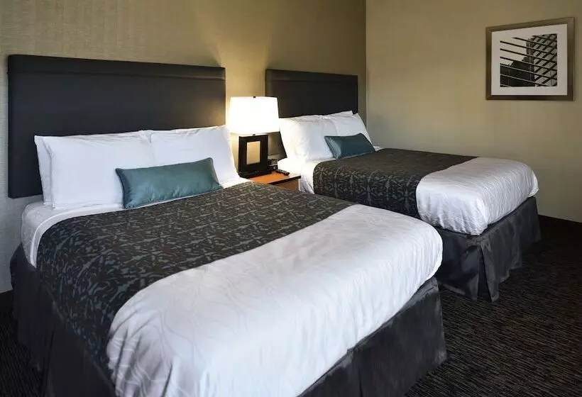 Отель City Center Inn And Suites