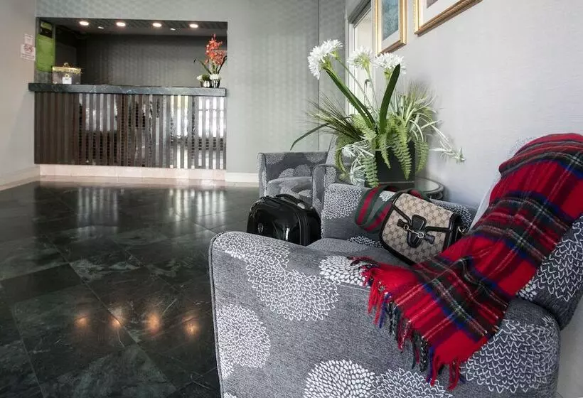 فندق City Center Inn And Suites