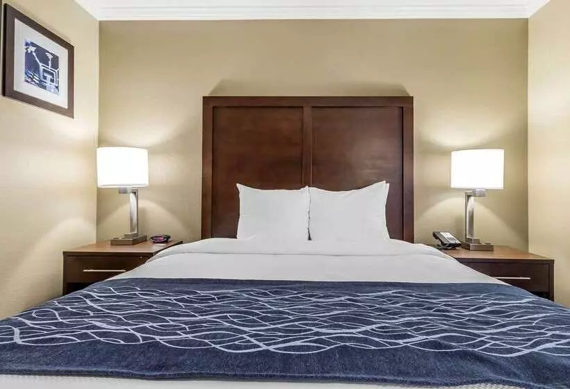 Отель Comfort Inn Sunnyvale  Silicon Valley