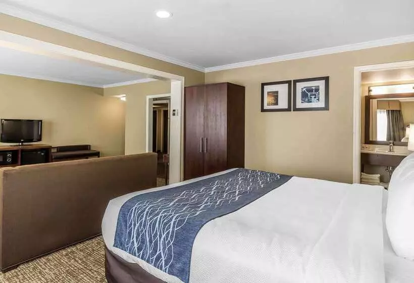 Отель Comfort Inn Sunnyvale  Silicon Valley