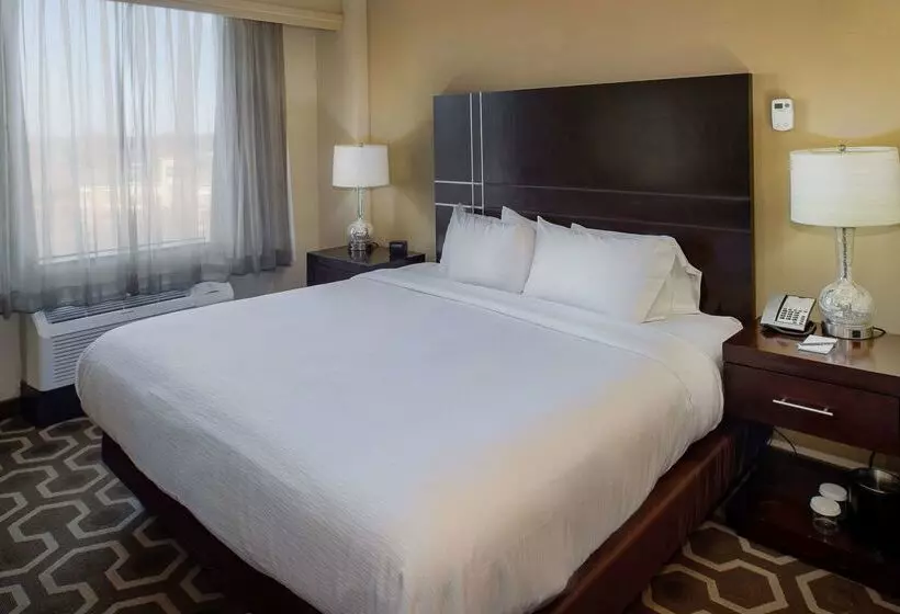 هتل Embassy Suites By Hilton St. Louis Airport