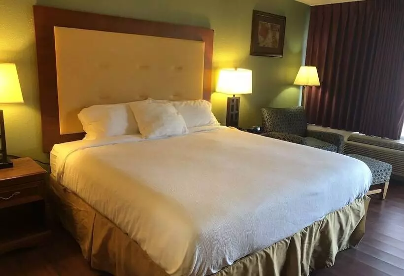 בית מלון כפרי Express Airport Inn