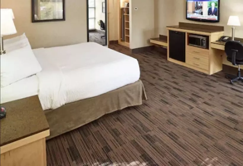 Livinn Hotel Minneapolis North / Fridley