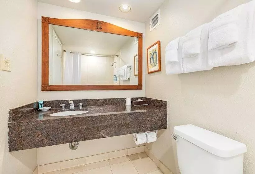 Luana Waikiki Hotel & Suites