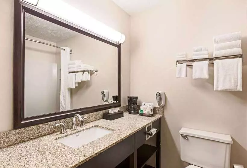 בית מלון כפרי Quality Inn Petoskey Harbor Springs