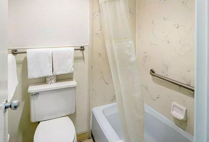 Hotel Rodeway Inn At Nevada State Capitol