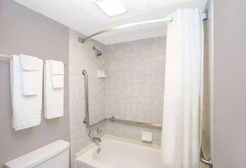 酒店 Super 8 By Wyndham Springdale Ar