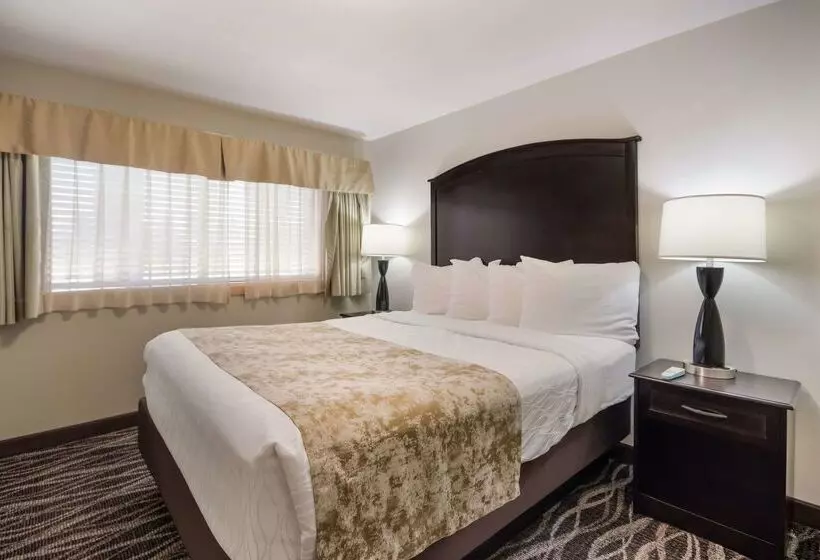 فندق على الطريق Best Western Weston Inn