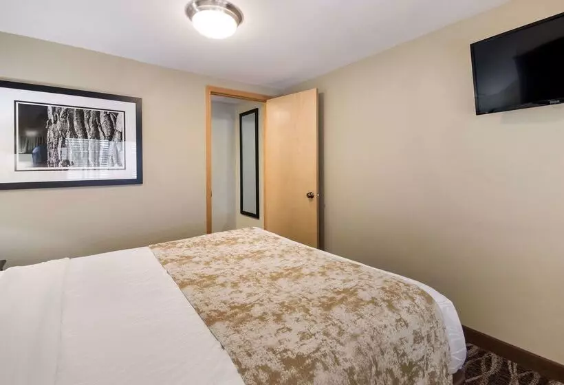 فندق على الطريق Best Western Weston Inn