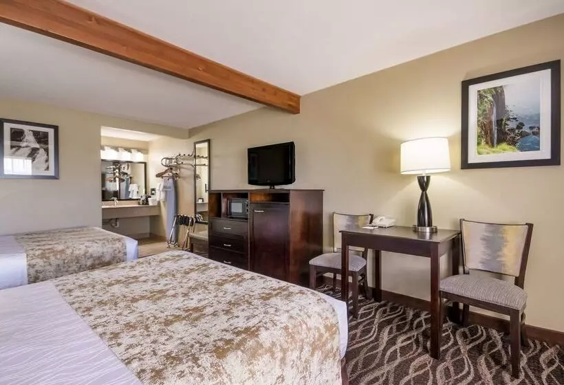 فندق على الطريق Best Western Weston Inn