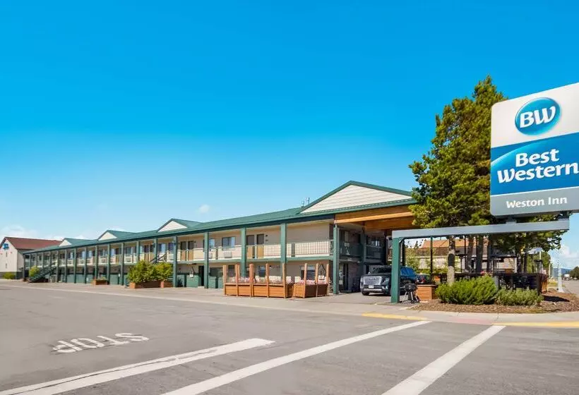 فندق على الطريق Best Western Weston Inn