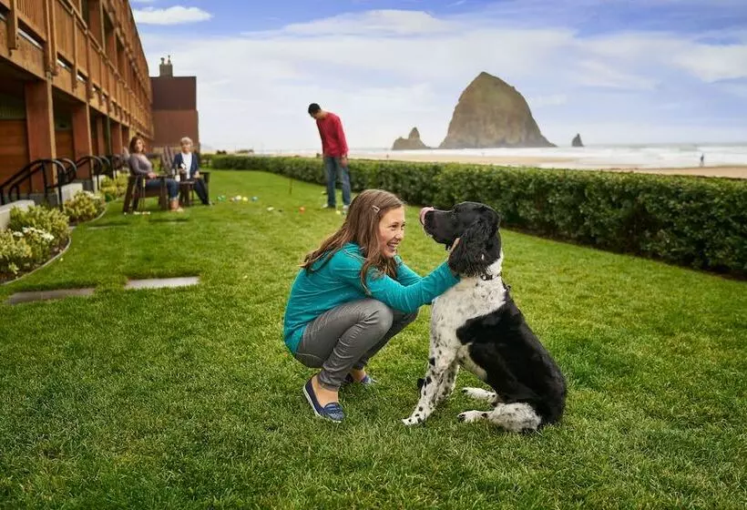 Motel Surfsand Resort