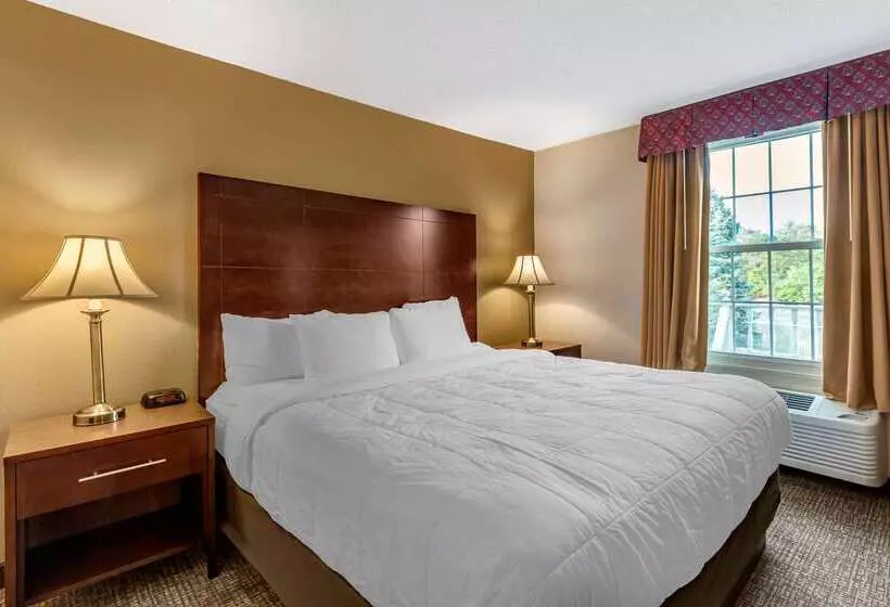 فندق Comfort Inn Foxboro – Mansfield