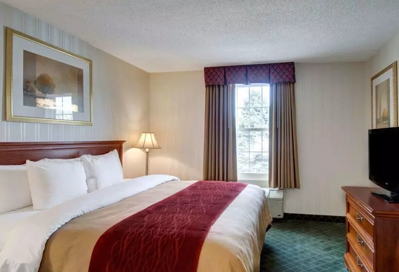 فندق Comfort Inn Foxboro – Mansfield